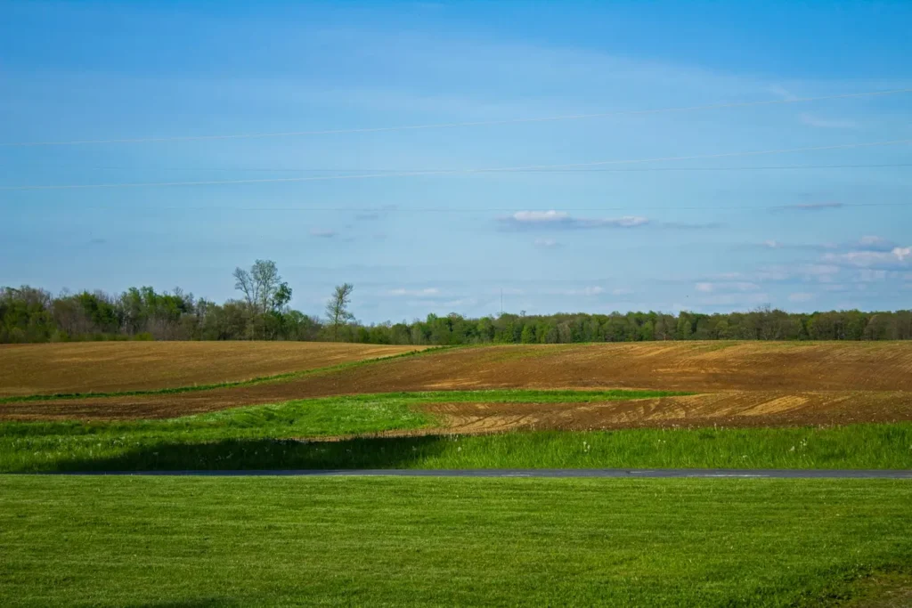 A forested shoreline in rural Ohio