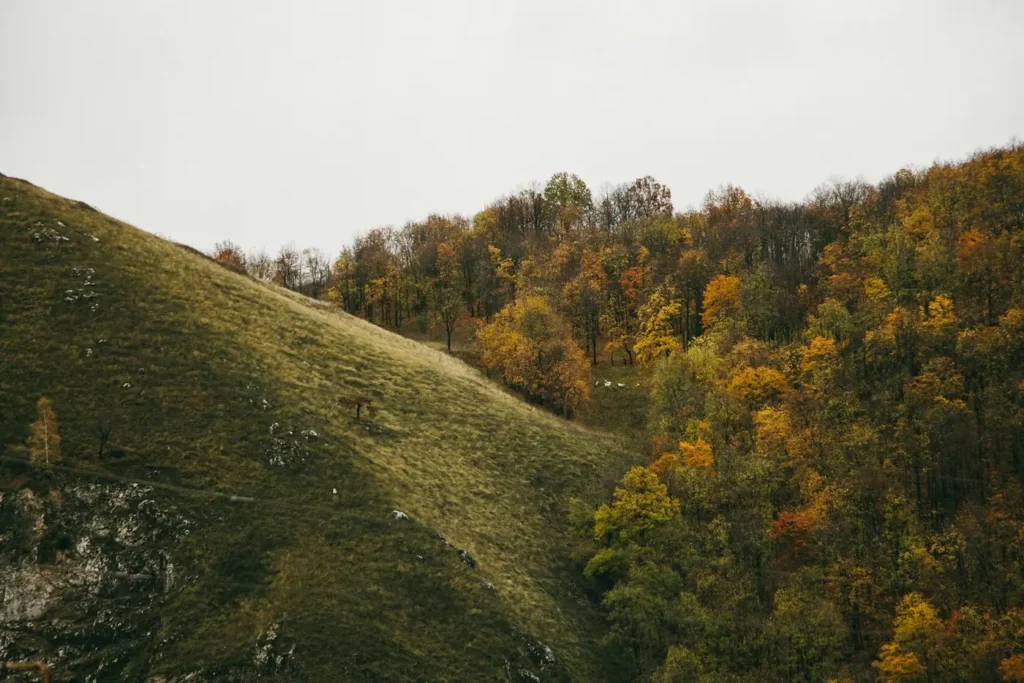 Wooded hill country in Jackson County, Ohio