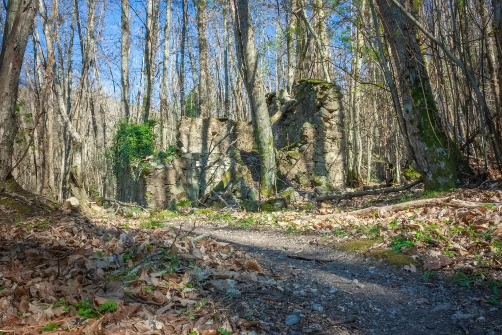 Wooded hill country in rural Ohio